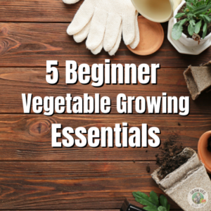 5 beginner vegetable growing essentials