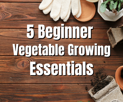 5 beginner vegetable growing essentials