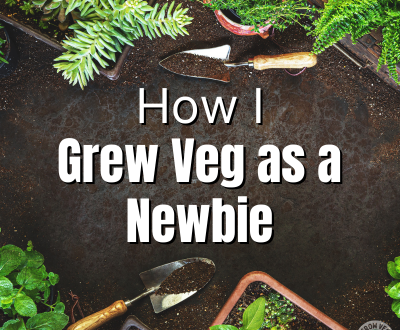 how i grew veg as a newbie