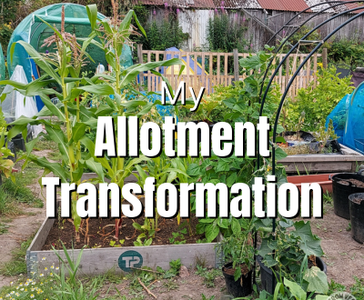 my allotment transformation