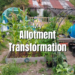 my allotment transformation