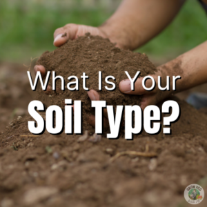 what is your soil type