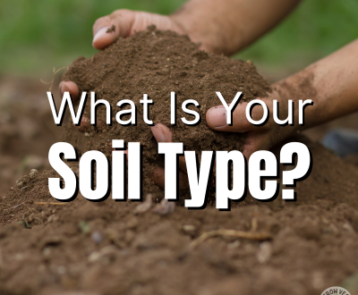 what is your soil type