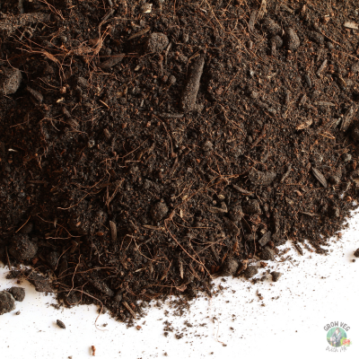 peat soil