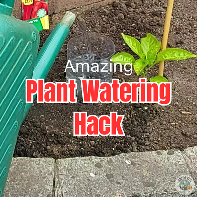 Amazing Plant Watering Hack