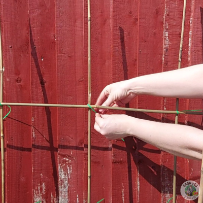 cucumber trellis